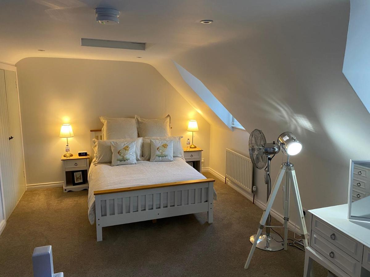 Arthur Street Guest Cottage Hillsborough Buitenkant foto